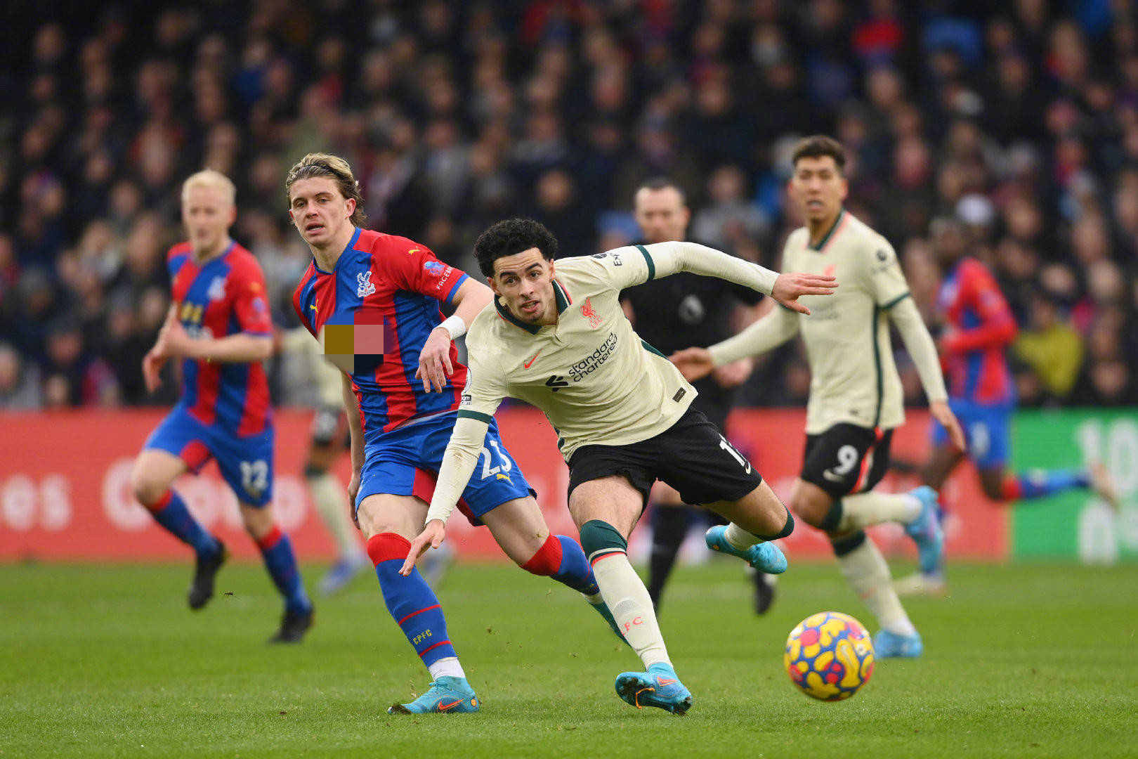 大的活力 大的活力